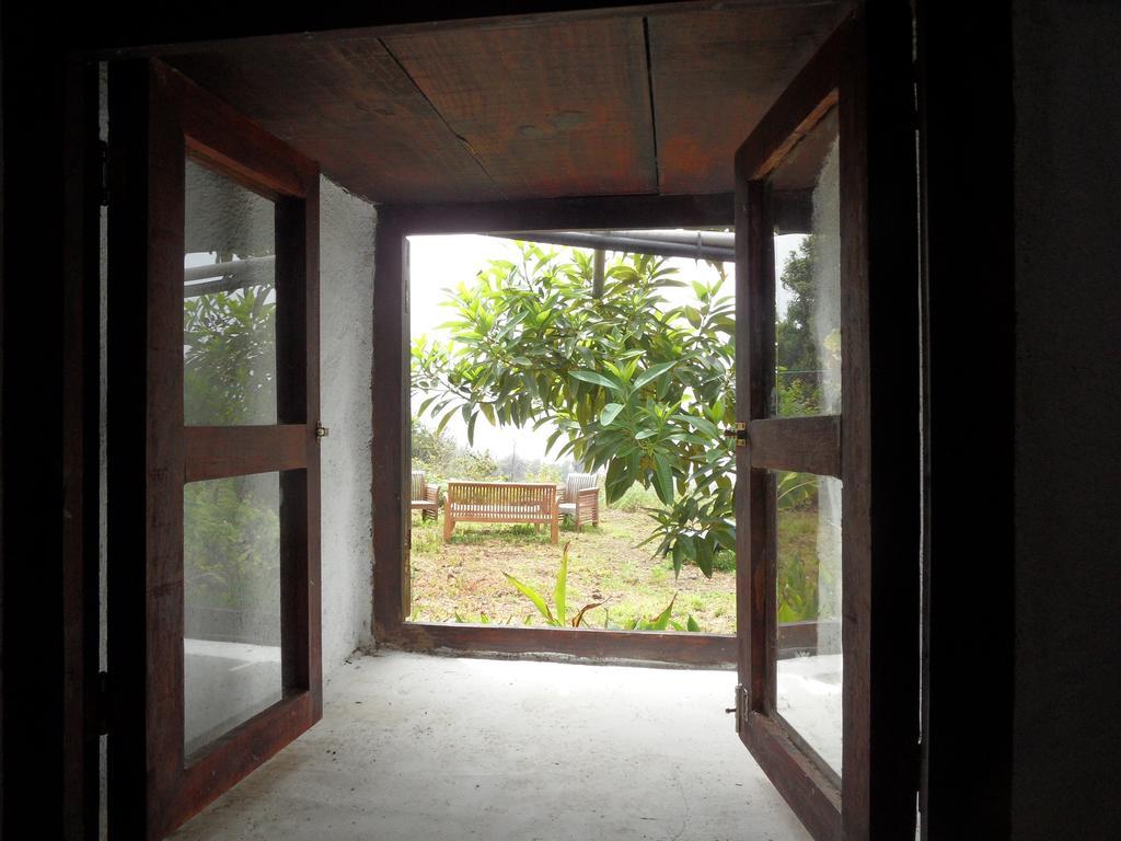 Finca Cueva Del Viento Icod De Los Vinos Bilik gambar