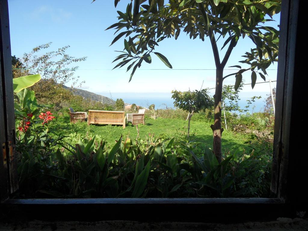 Finca Cueva Del Viento Icod De Los Vinos Bilik gambar