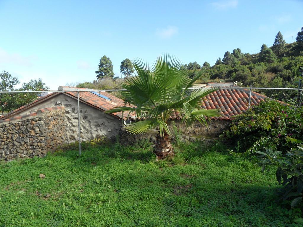 Finca Cueva Del Viento Icod De Los Vinos Bilik gambar